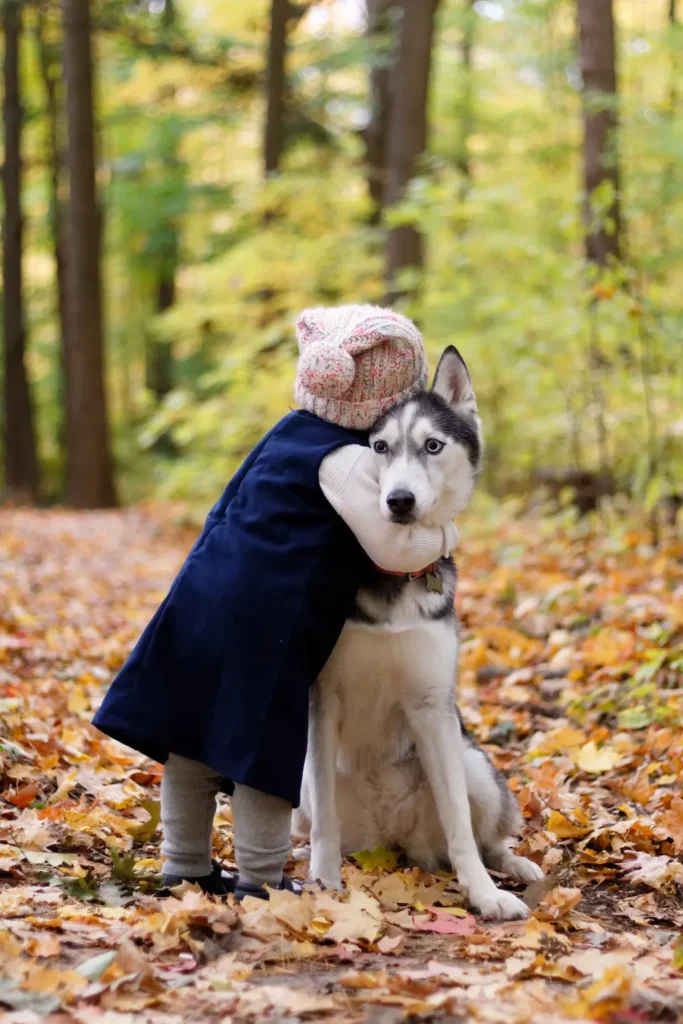 cremacion ecológica de perros